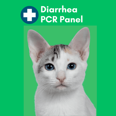Diarrhea Check for Cats (PCR) - At-Home Cat Lab Test | Kedi Labs