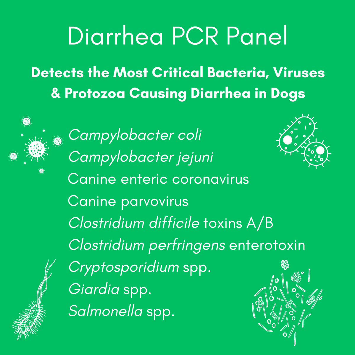 Diarrhea Check for Dogs (PCR) - At-Home Dog Lab Test | Kedi Labs