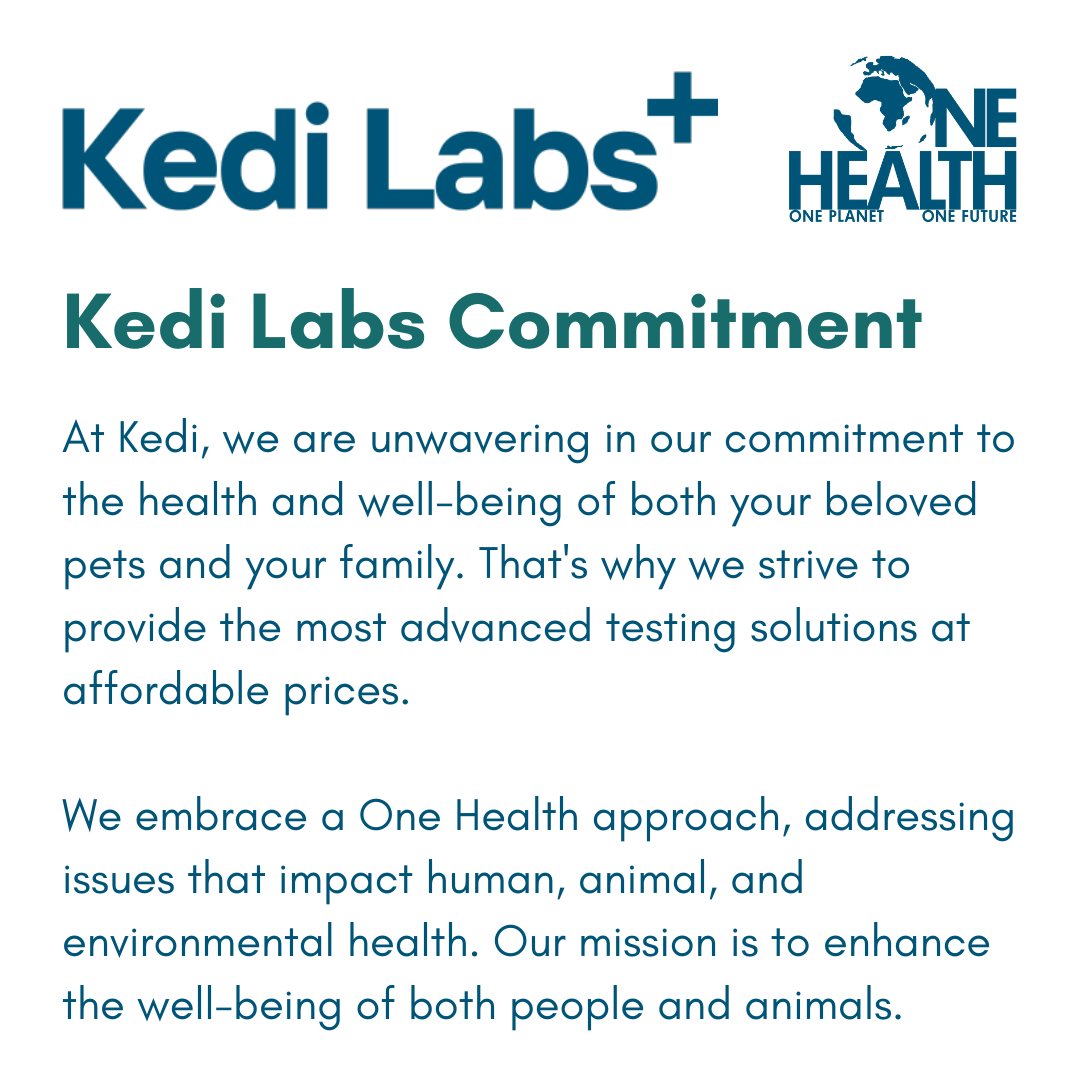 Ringworm PCR Test for Dogs & Cats - At-Home Pet Lab Test | Kedi Labs
