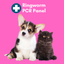 Ringworm PCR Test for Dogs & Cats - At-Home Pet Lab Test | Kedi Labs