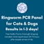 Ringworm PCR Test for Dogs & Cats - At-Home Pet Lab Test | Kedi Labs