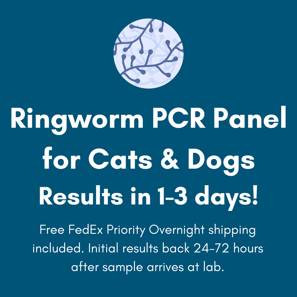 Ringworm PCR Test for Dogs & Cats - At-Home Pet Lab Test | Kedi Labs