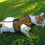 Kitty Holster Cat Harness (Made in USA)