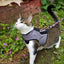 Kitty Holster Cat Harness (Made in USA)