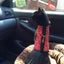 Kitty Holster Cat Harness (Made in USA)