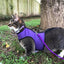 Kitty Holster Cat Harness (Made in USA)