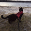 Kitty Holster Cat Harness (Made in USA)