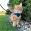 Kitty Holster Cat Harness (Made in USA)