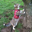 Kitty Holster Cat Harness (Made in USA)