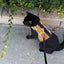 Kitty Holster Cat Harness (Made in USA)