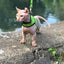 Kitty Holster Cat Harness (Made in USA Reflective Safety Harness)