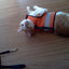 Kitty Holster Cat Harness (Made in USA Reflective Safety Harness)