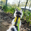 Kitty Holster Cat Harness (Made in USA Reflective Safety Harness)