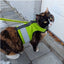 Kitty Holster Cat Harness (Made in USA Reflective Safety Harness)