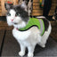 Kitty Holster Cat Harness (Made in USA Reflective Safety Harness)
