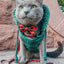 Dog Reversible Sherpa Jacket - Barks of Holly