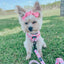 Dog Adjustable Harness - Mykonos