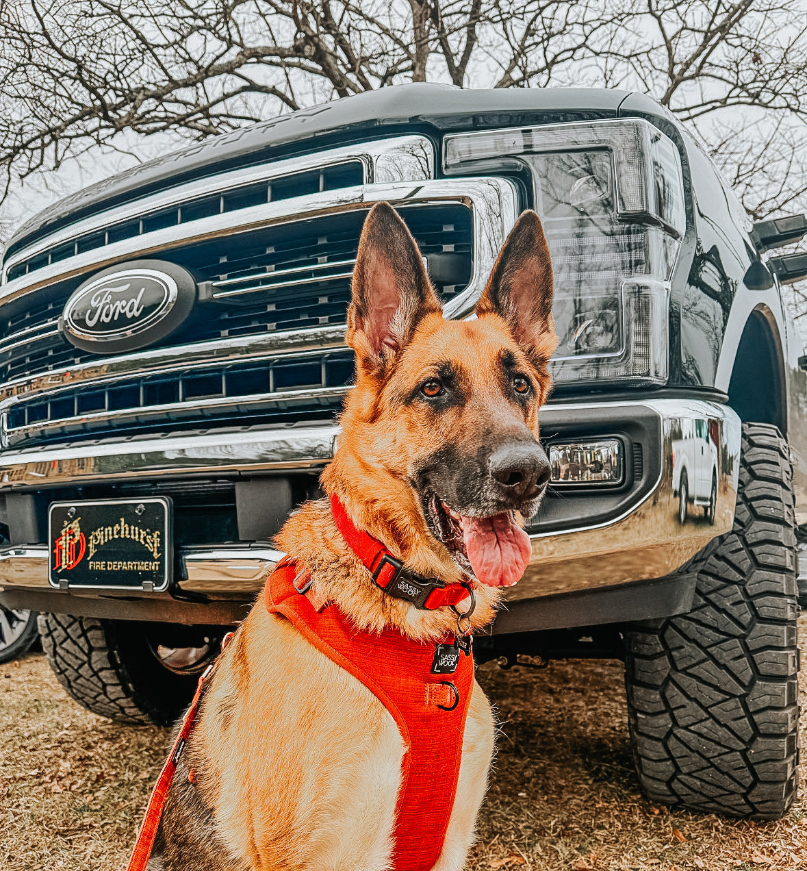 Dog Adjustable Harness - Foxy