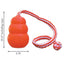 KONG Aqua Floating Water Dog Toy