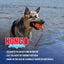 KONG Aqua Floating Water Dog Toy