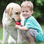 KONG Classic Dog Toy