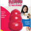 KONG Classic Dog Toy
