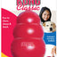 KONG Classic Dog Toy
