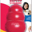 KONG Classic Dog Toy