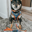 Dog Adjustable Harness - STAR WARS™ Ahsoka