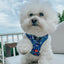 Dog Adjustable Harness - Superman™ & Krypto™