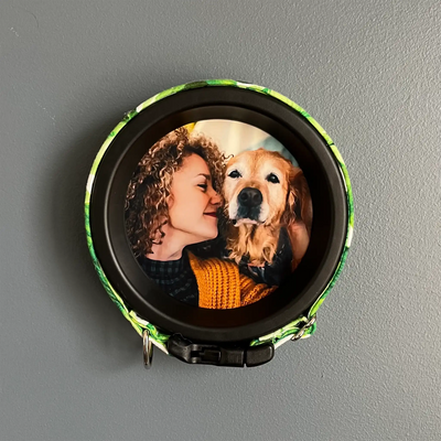 Large Dog Collar Frame | "The Labrador"