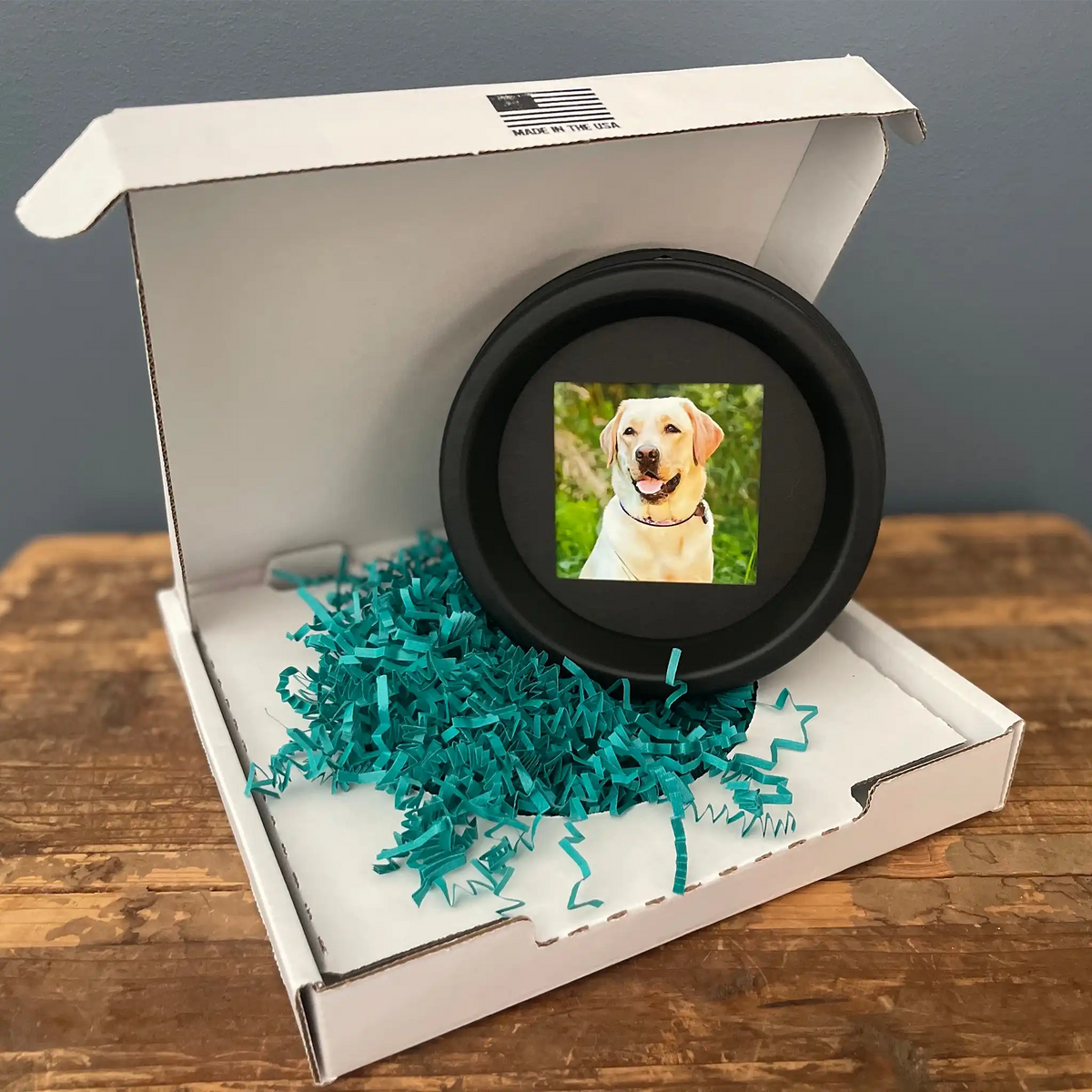 Large Dog Collar Frame | "The Labrador"