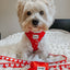 Dog Adjustable Harness - Little Love