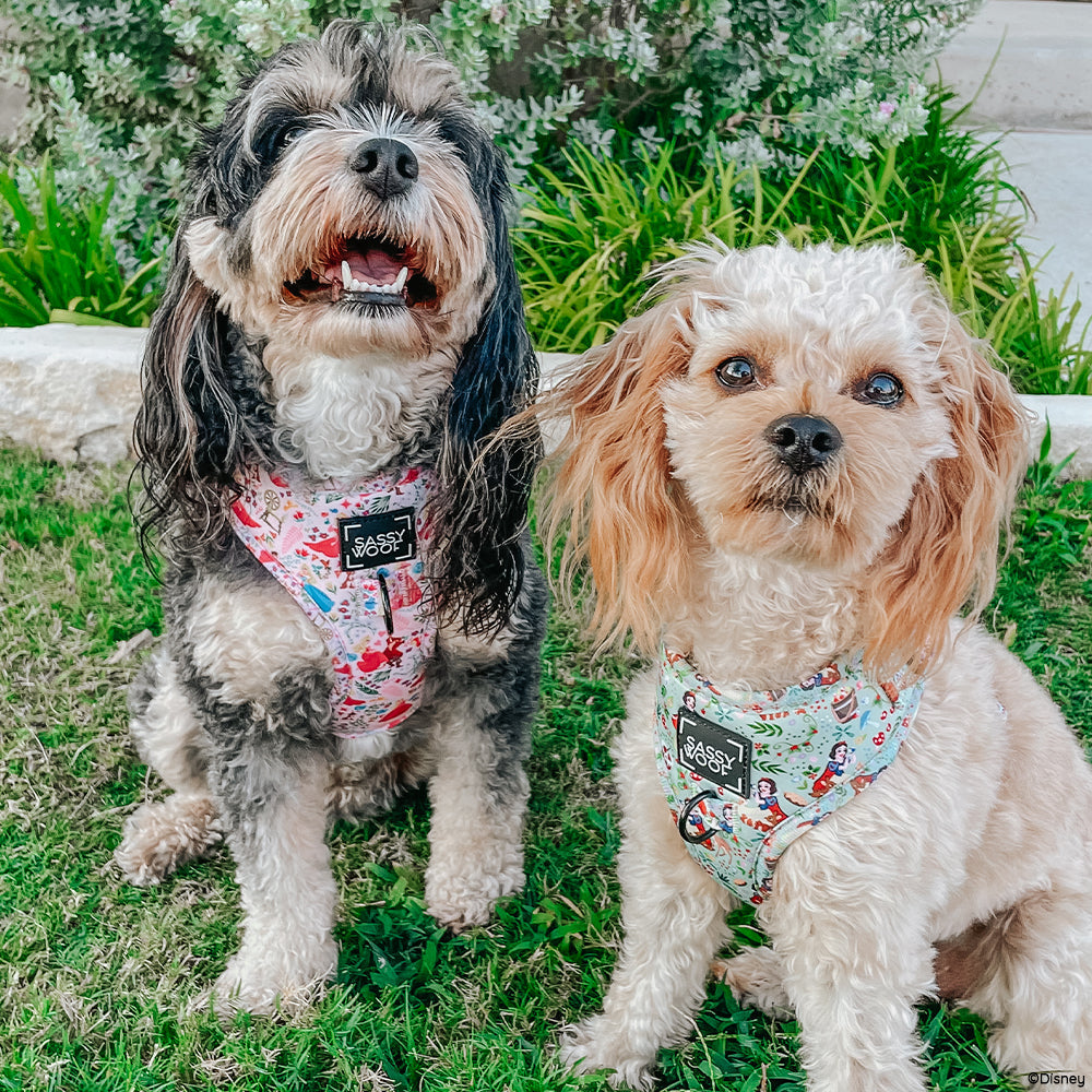 Dog Adjustable Harness - Disney's Snow White