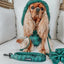 Dog Reversible Sherpa Jacket - Barks of Holly