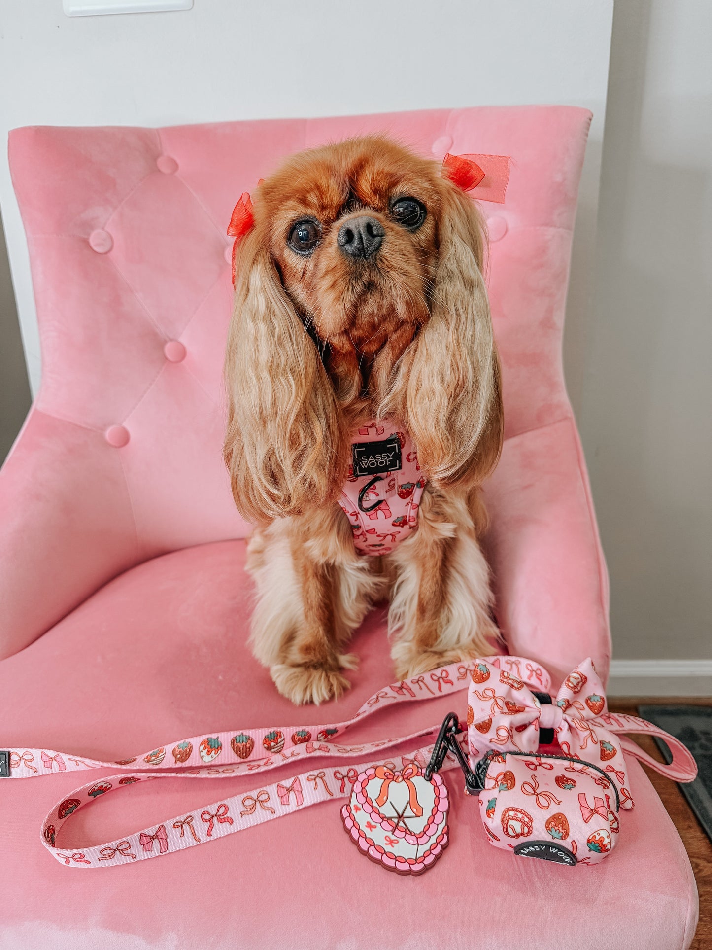 Dog Adjustable Harness - Sweet Treats