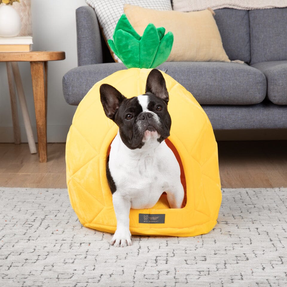 Pineapple Dog & Cat Fun Bed Prive Collection