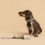 Leash 4ft - Vegan Leather - Copenhagen