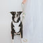 Dog Leash Flower Accessory