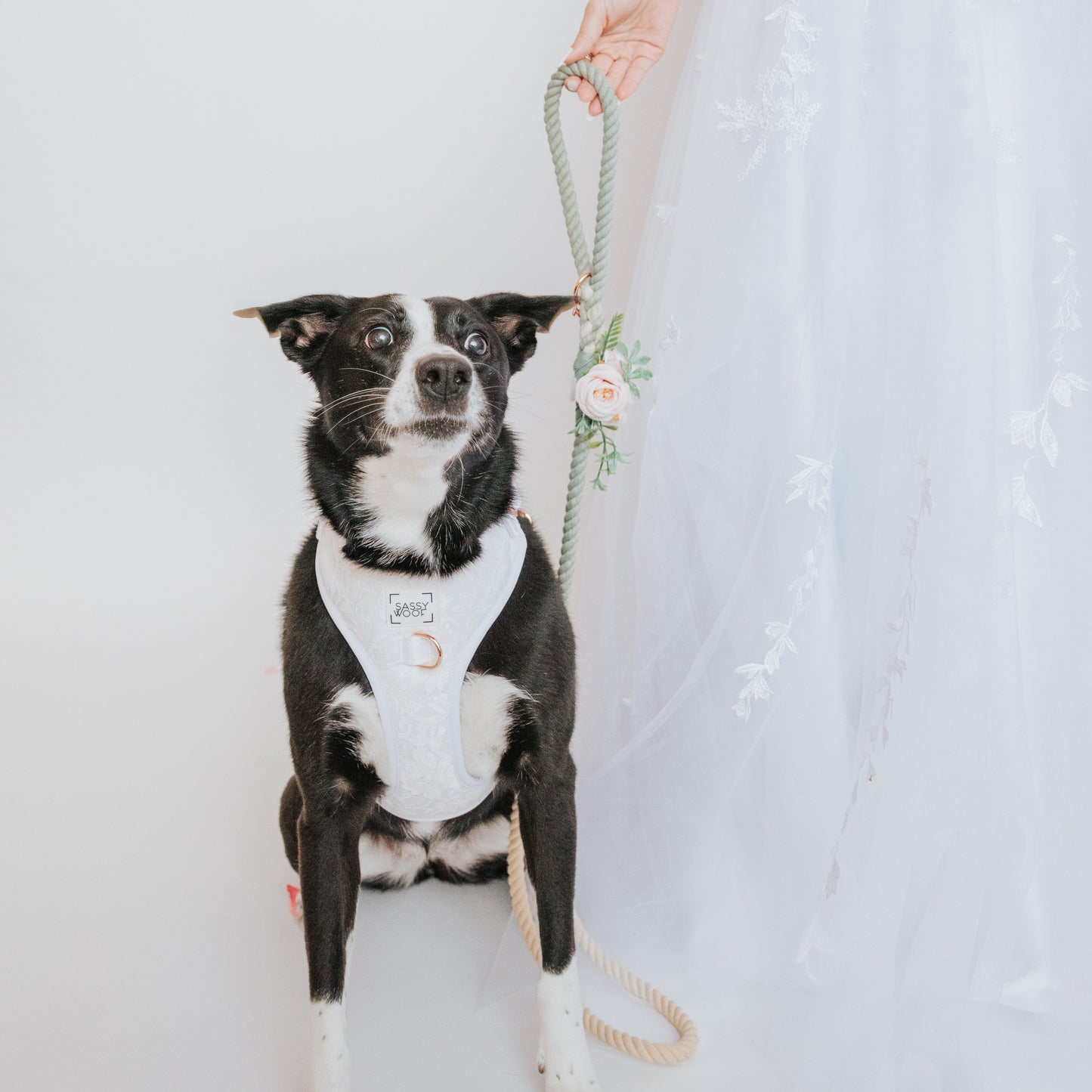 Dog Leash Flower Accessory