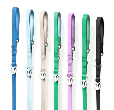 Waterproof Dog Leash - 5ft