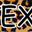 Personalized Leopard Print Dog Collar