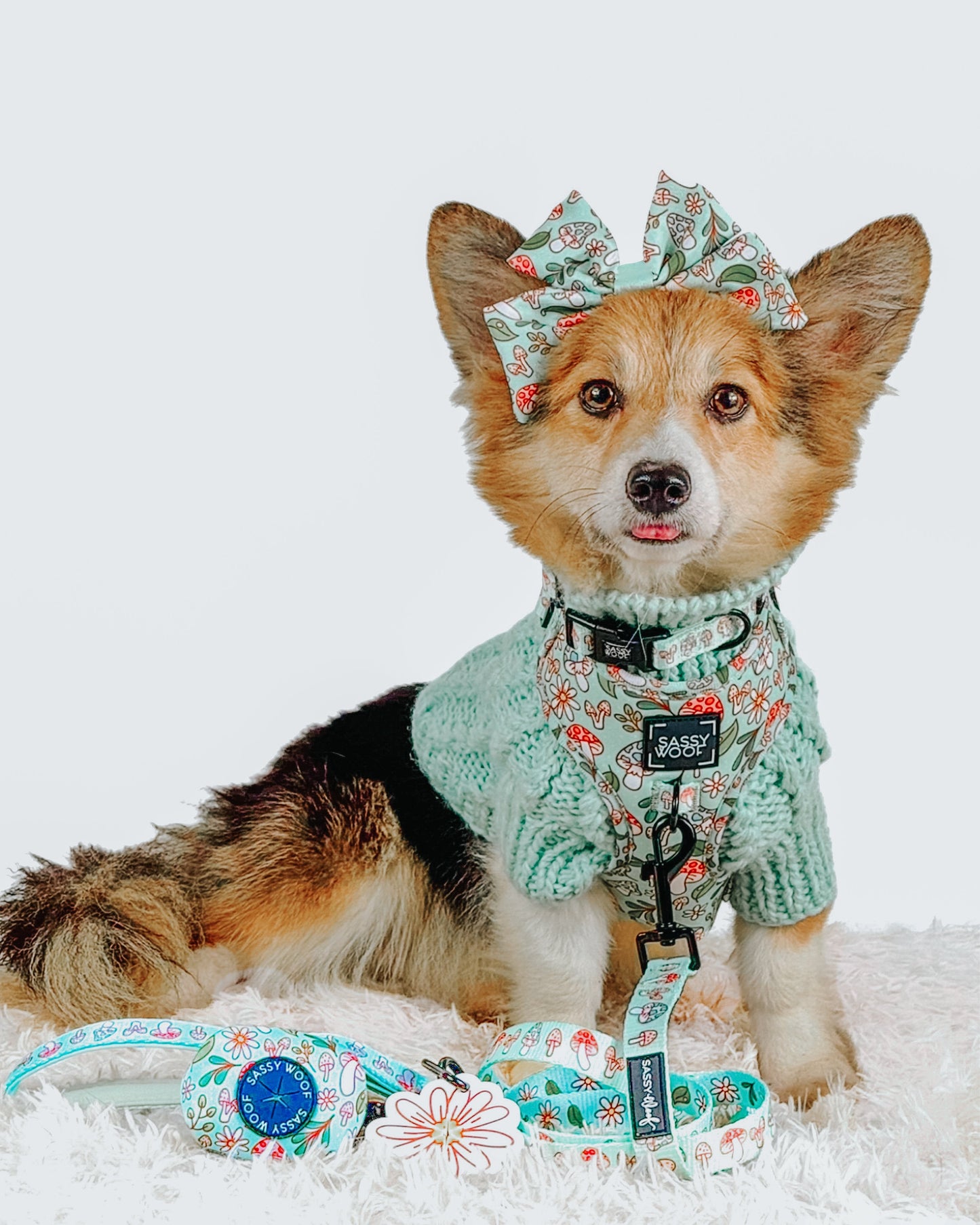Dog Collar - Shrooms & Blooms