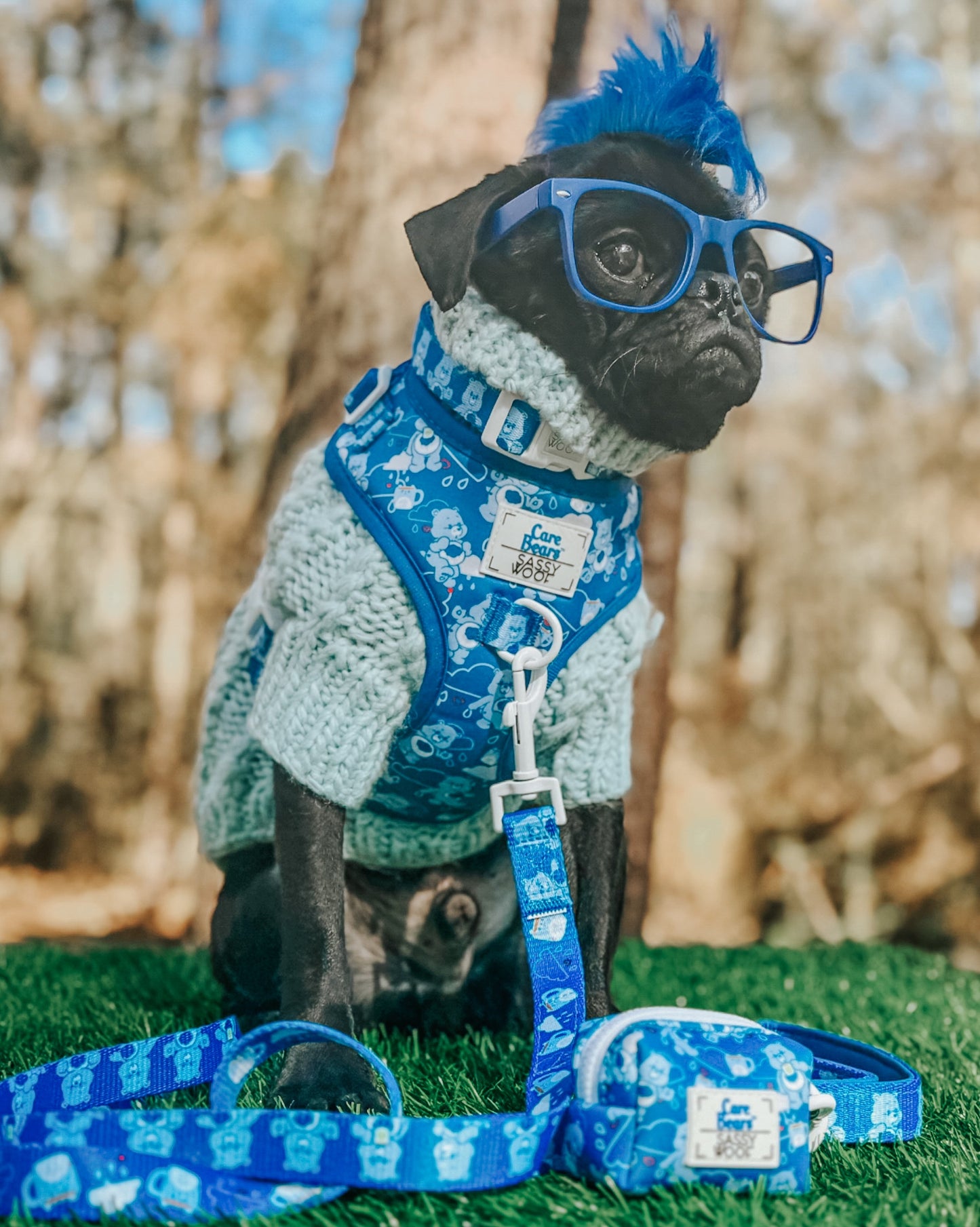 Dog Adjustable Harness - Care Bears™ Grumpy Bear