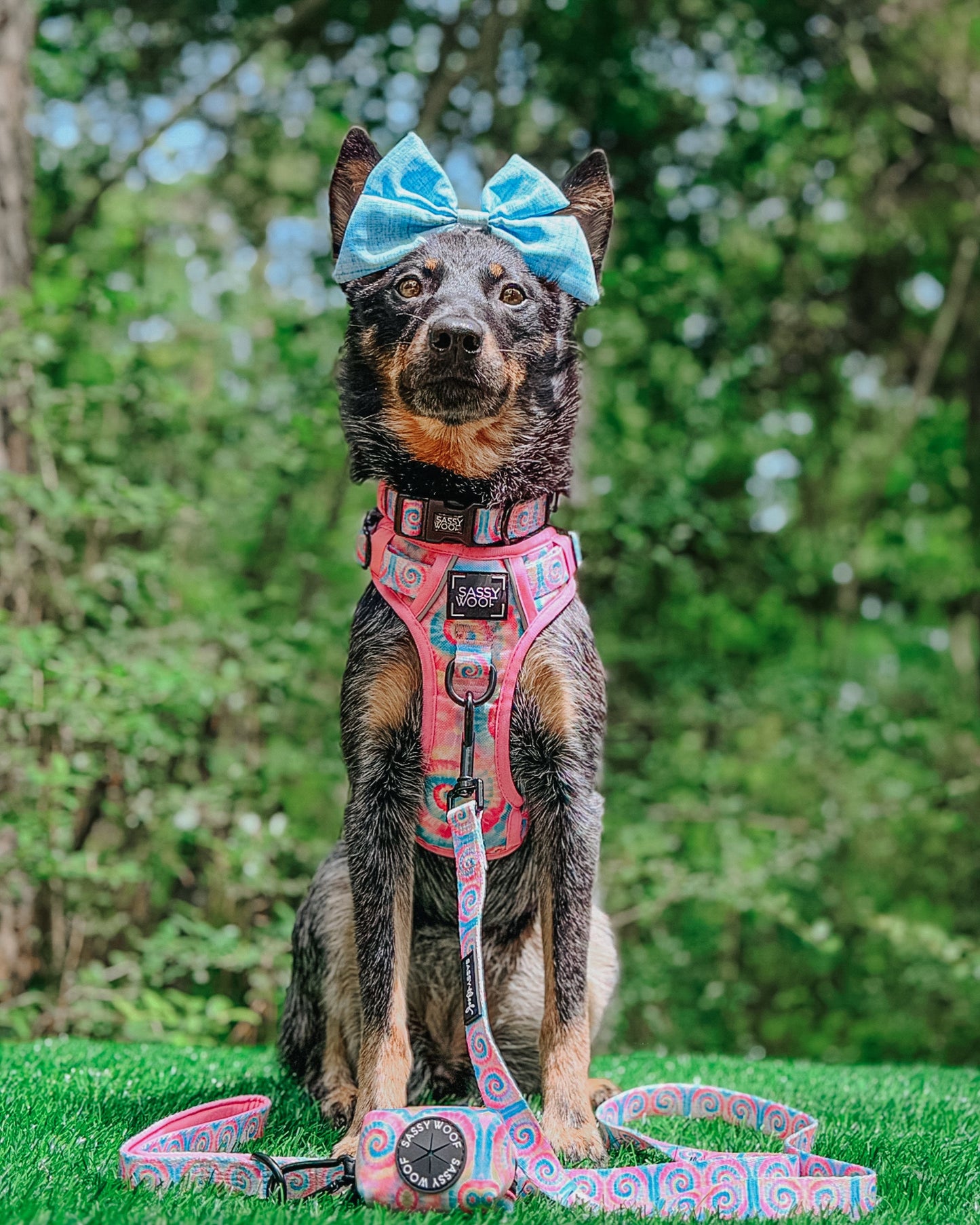 Dog Collar - Good Vibes