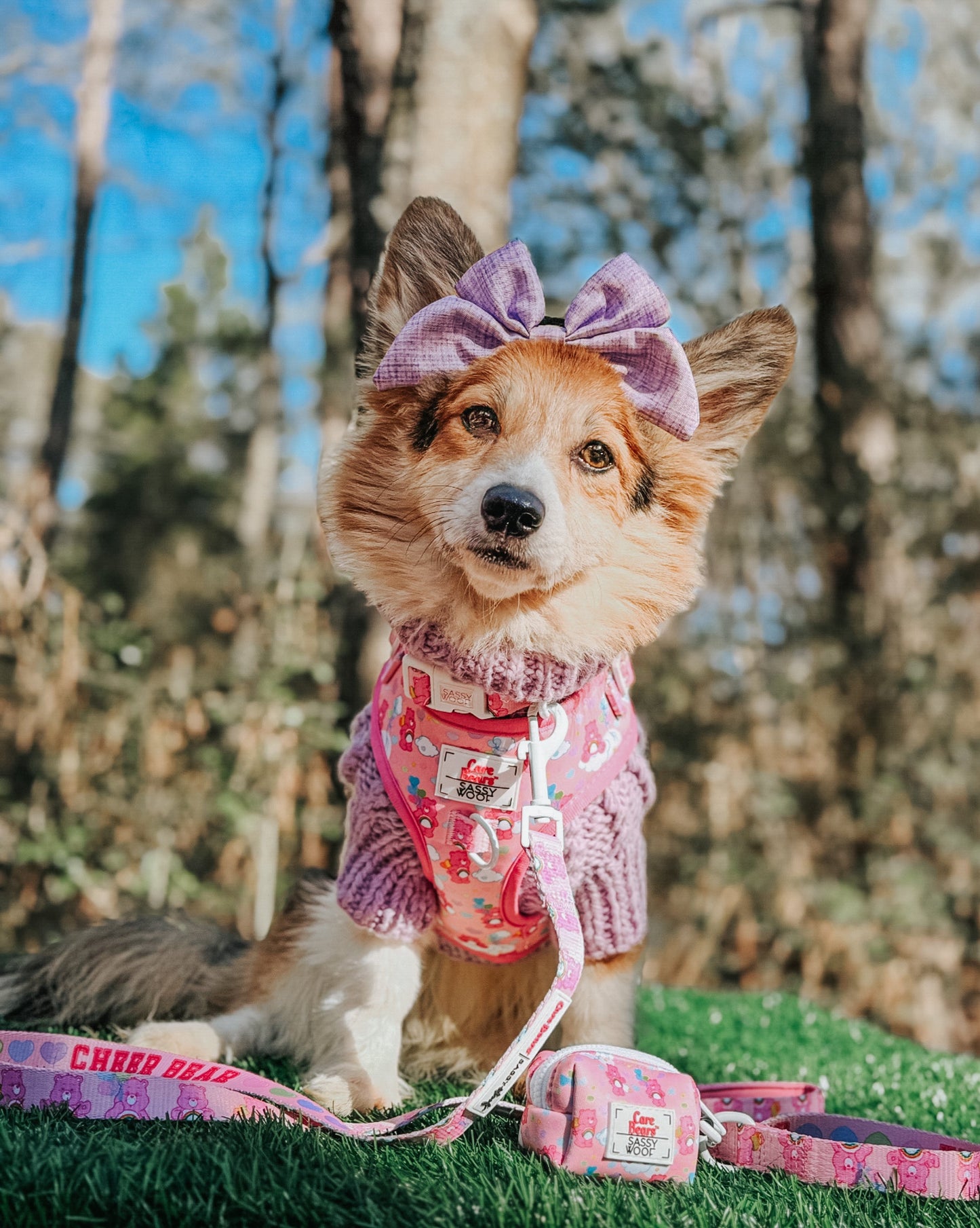 Dog Adjustable Harness - Care Bears™ Cheer Bear