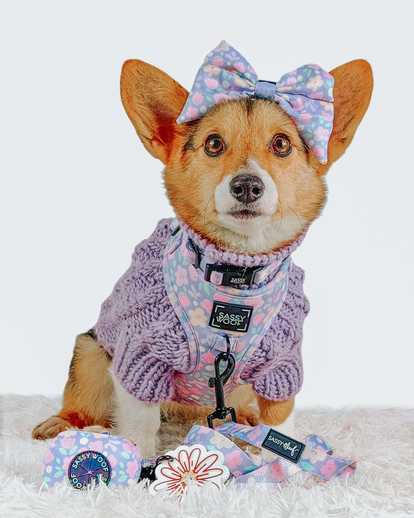 Dog Adjustable Harness - Fleur de Sass