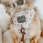 Dog Collar - Spill the Tea