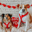 Dog Adjustable Harness - Little Love