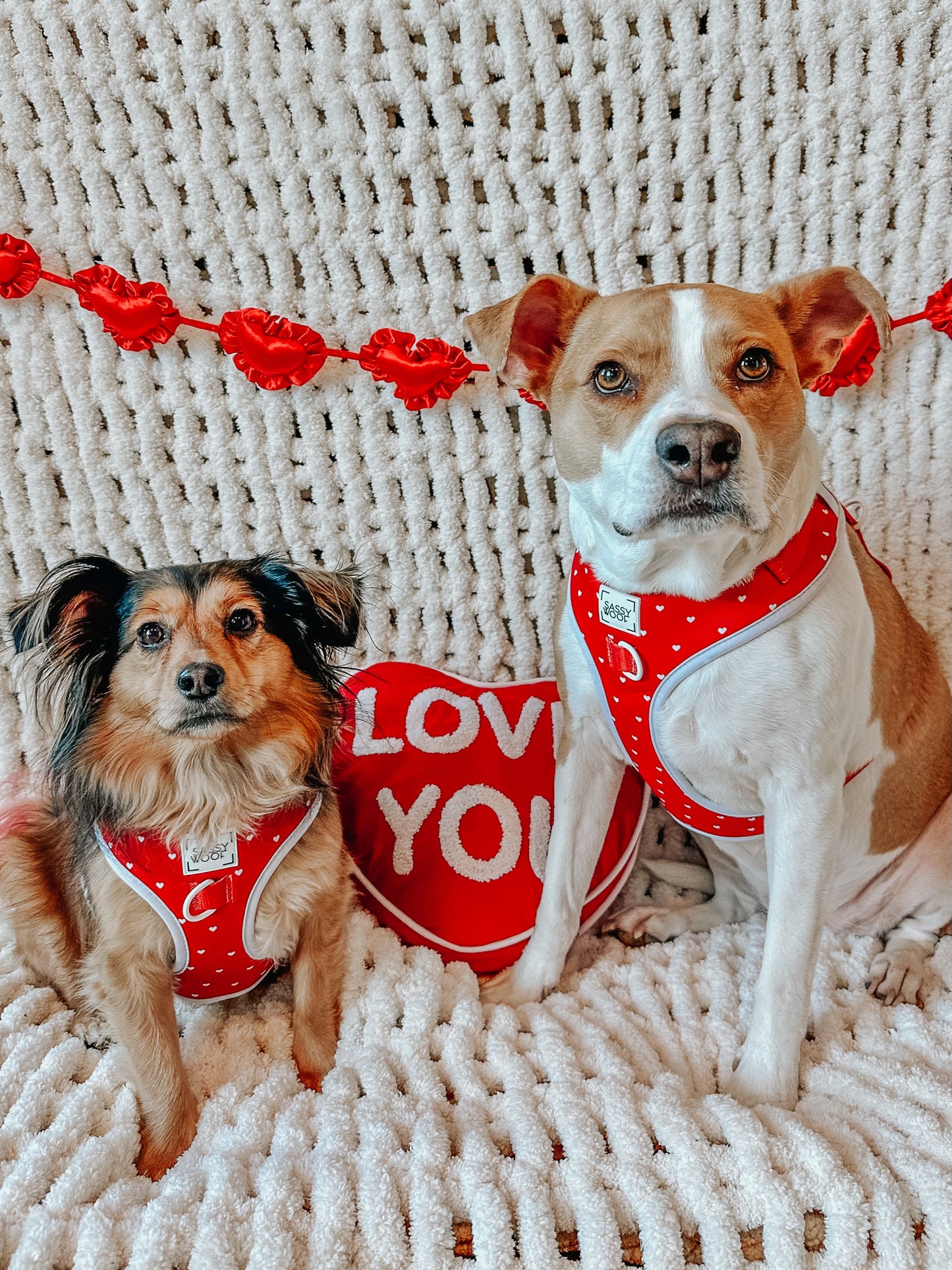 Dog Adjustable Harness - Little Love